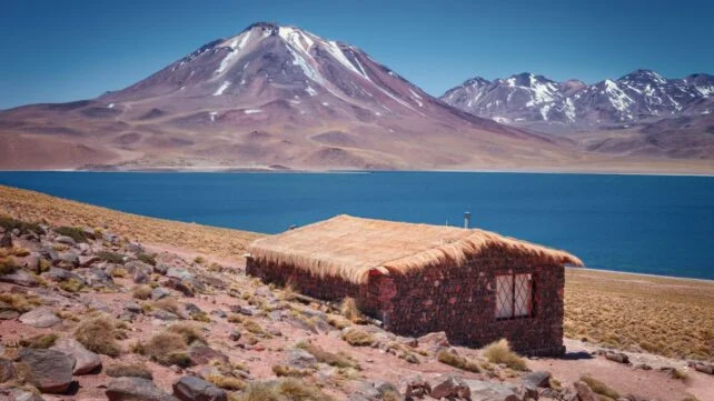 Andeans appear to have evolved a remarkable genetic capacity