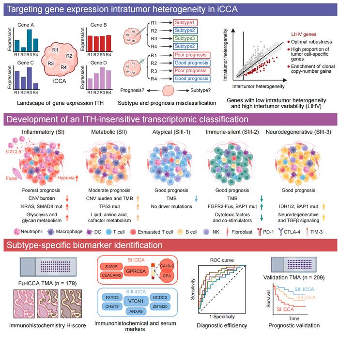 Molecular staging of intrahepatic cholangiocarcinoma (iCCA)