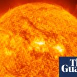 Obituary for Dame Carole Jordan