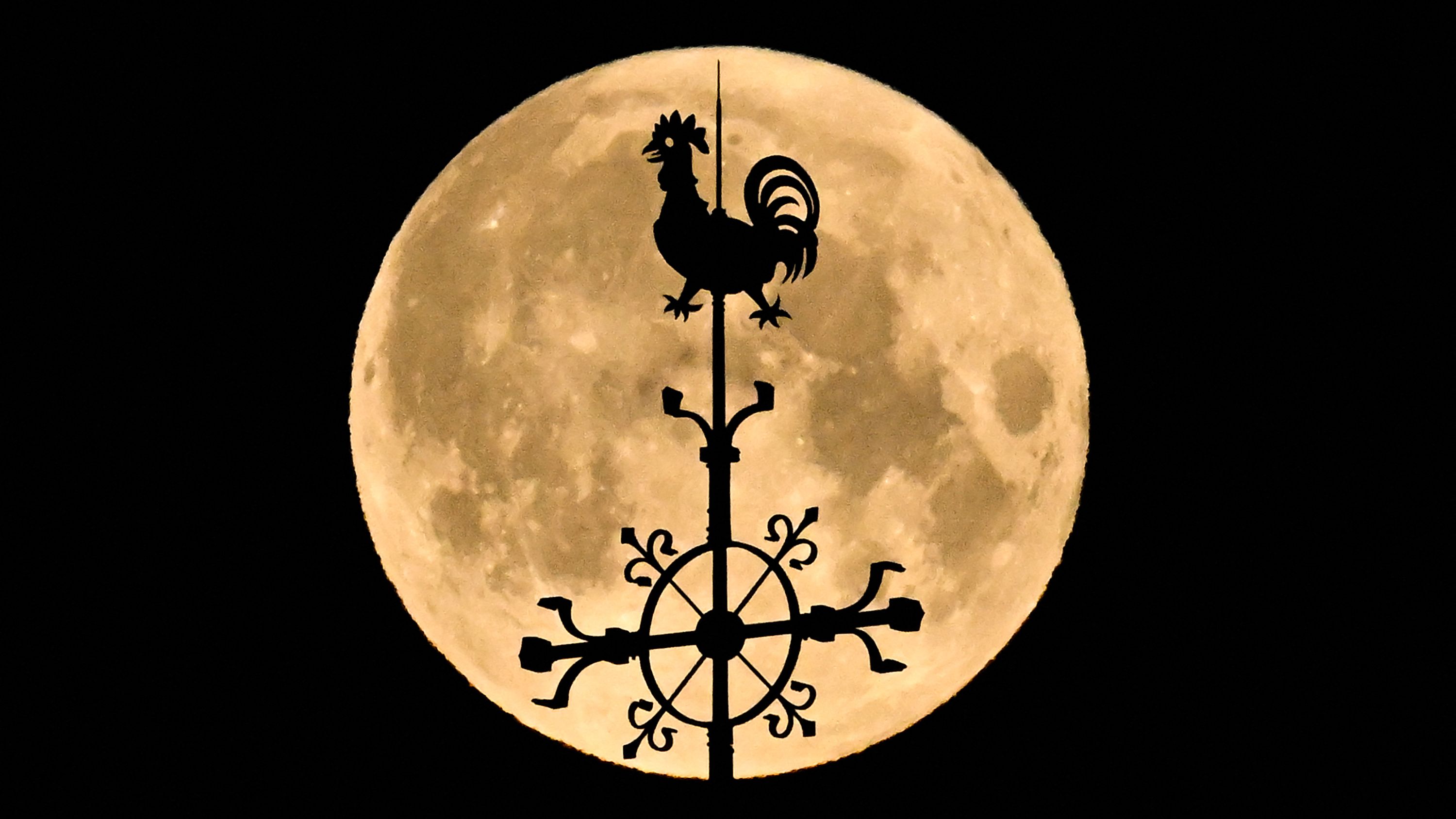 A weather silhouette is depicted in front of a full yellow moon on a black background.