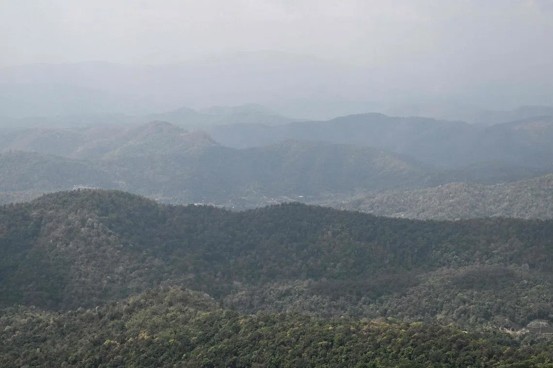 Armed Indigenous firefighters protect Thailand's forests