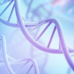 Autism risk genes are shared across generations, genome-wide study reveals