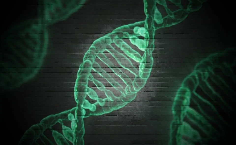 Genetic Roadmap Boosts Precision Therapy for ICC
