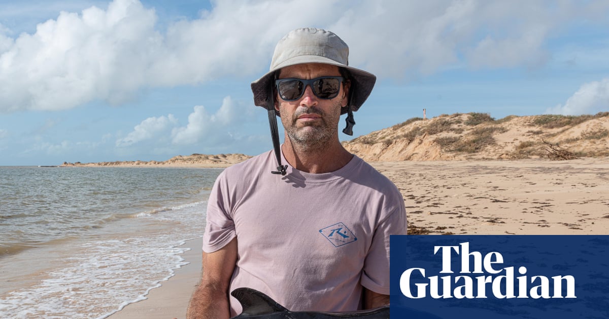 'Harrowing': Cyclone Narelle leaves graves for turtles, dolphins and seabirds in Western Australia