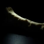 A close-up of a piece of human bone or other evidence related to a crime scene, lit by a hard, straight camera light against a black background, conveys a crisp, light, investigative quality.