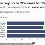 Experts from Zero Carbon Analytics for the Energy and Climate Intelligence Unit (ECIU) have warned that bad weather has increased lamb prices by seven to 21 percent.