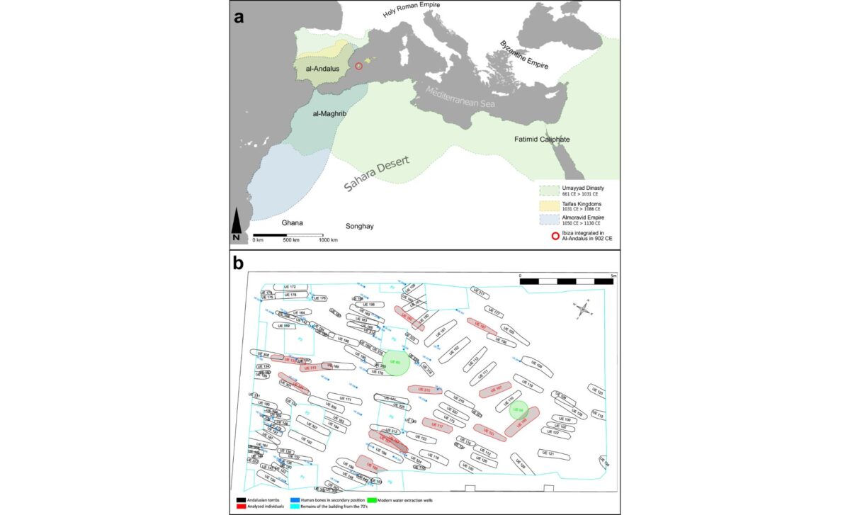 Map and Excavation Plan Of Maqbara Of Madina Yabisa, Ibiza ©nature