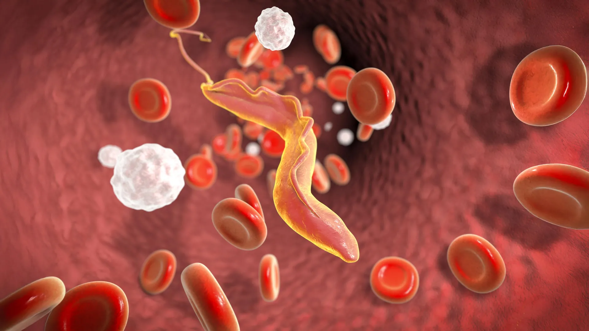 Scientists discover a “molecular shredder” that helps deadly viruses evade the immune system