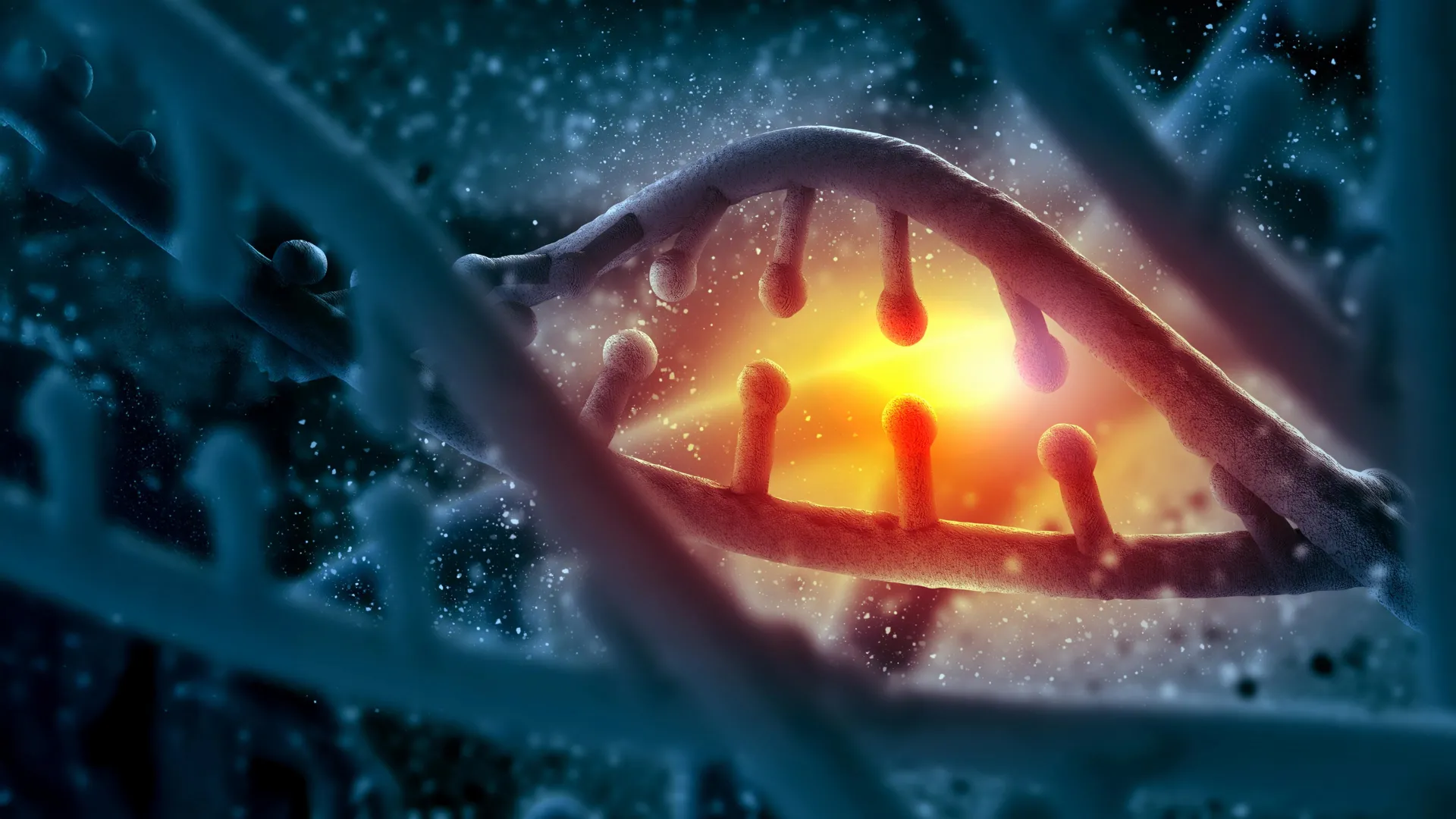 Scientists recently discovered DNA "supergenes" that speed up evolution