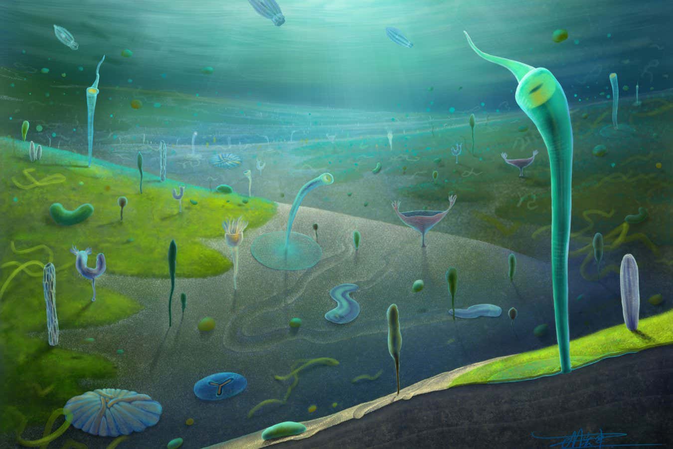 Surprising fossil discoveries trace back the evolution of complex animals