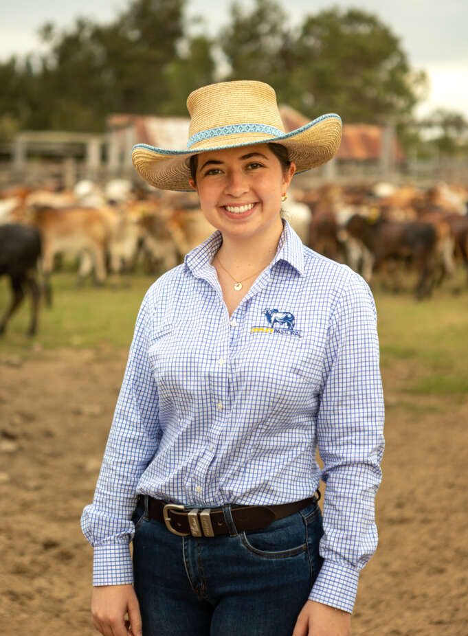 Weekly genetics analysis: The genetic change that is permanent depends on more than the bull you buy - Beef Central