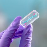 A glass rectangle with a blue line and a red line running through the middle. A purple gloved hand raises it.